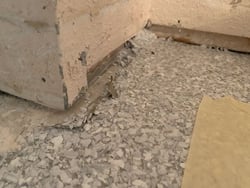 Old coating A close up of an old garage floor coating that has vinyl chips light grey colors and is peeling up around the walls.