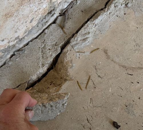 Three concrete problems that a floor coating will not fix